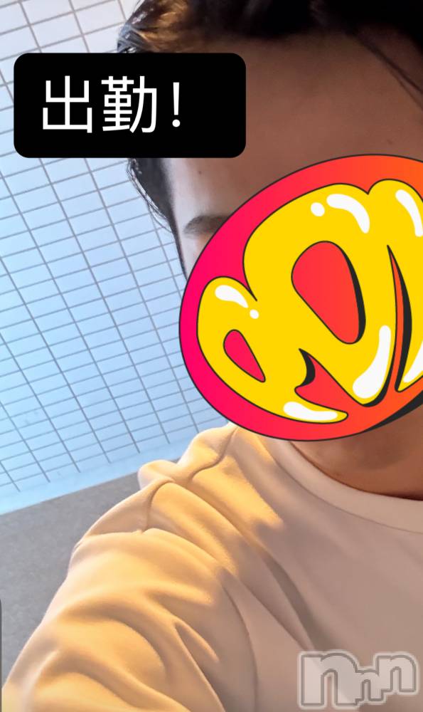 ��Į�ۥ��ȡ��ܡ������С�A151(�����������ݥ���) �����12��15���̥�֥�����49��