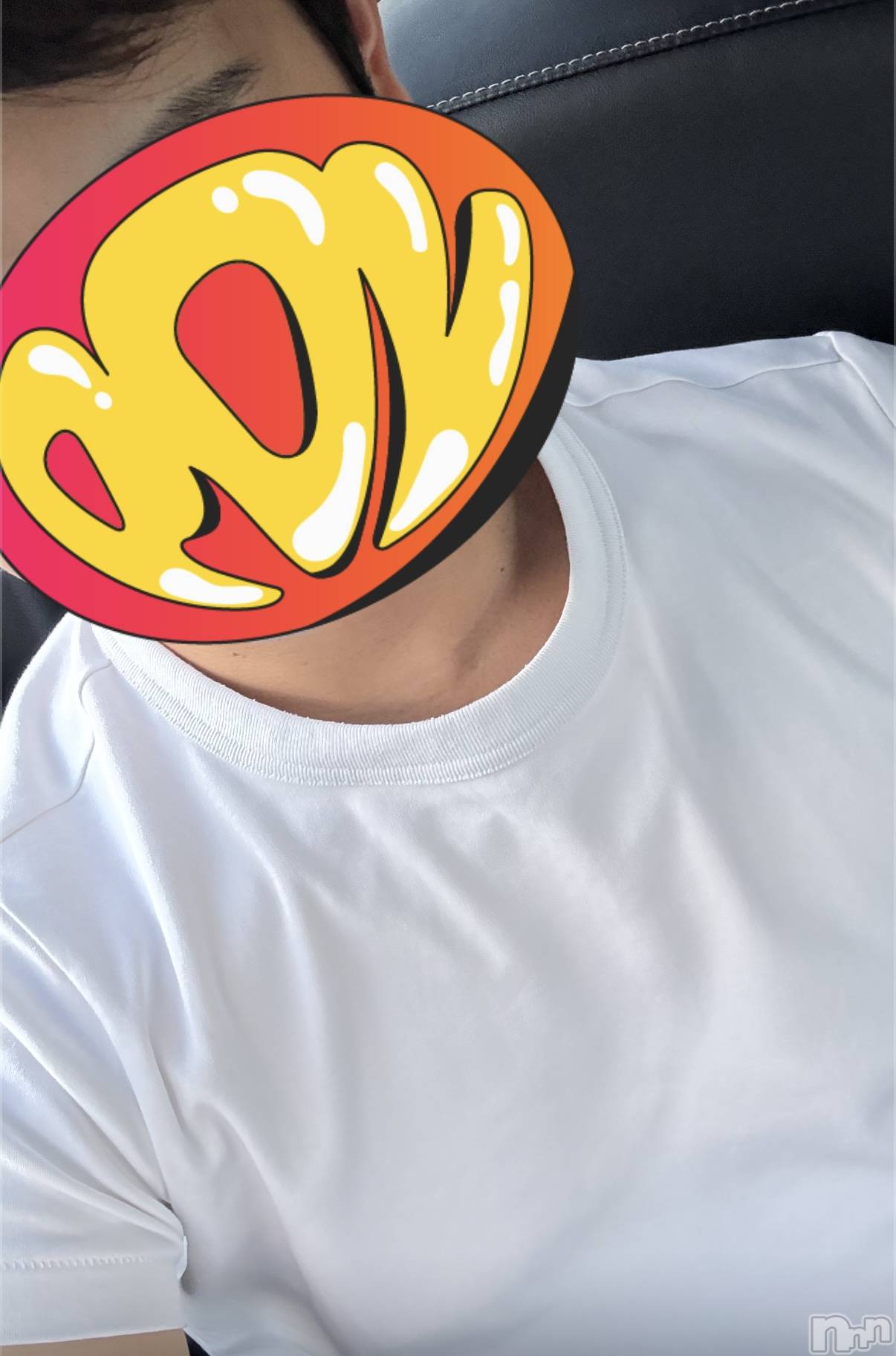 ��Į�ۥ��ȡ��ܡ������С�A151(�����������ݥ���) ��2025ǯ9��3���̥�֥�����24��