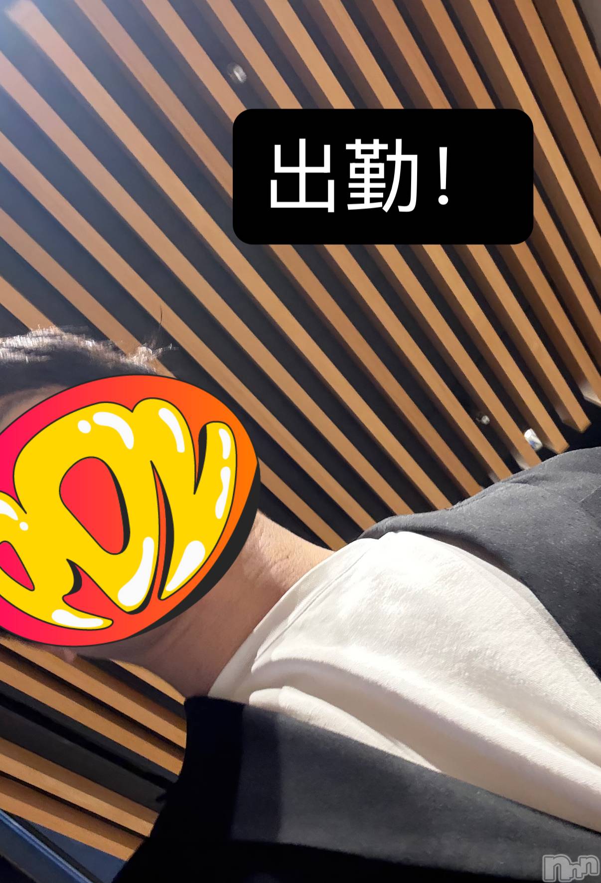 ��Į�ۥ��ȡ��ܡ������С�A151(�����������ݥ���) ��2025ǯ10��3���̥�֥�����34��