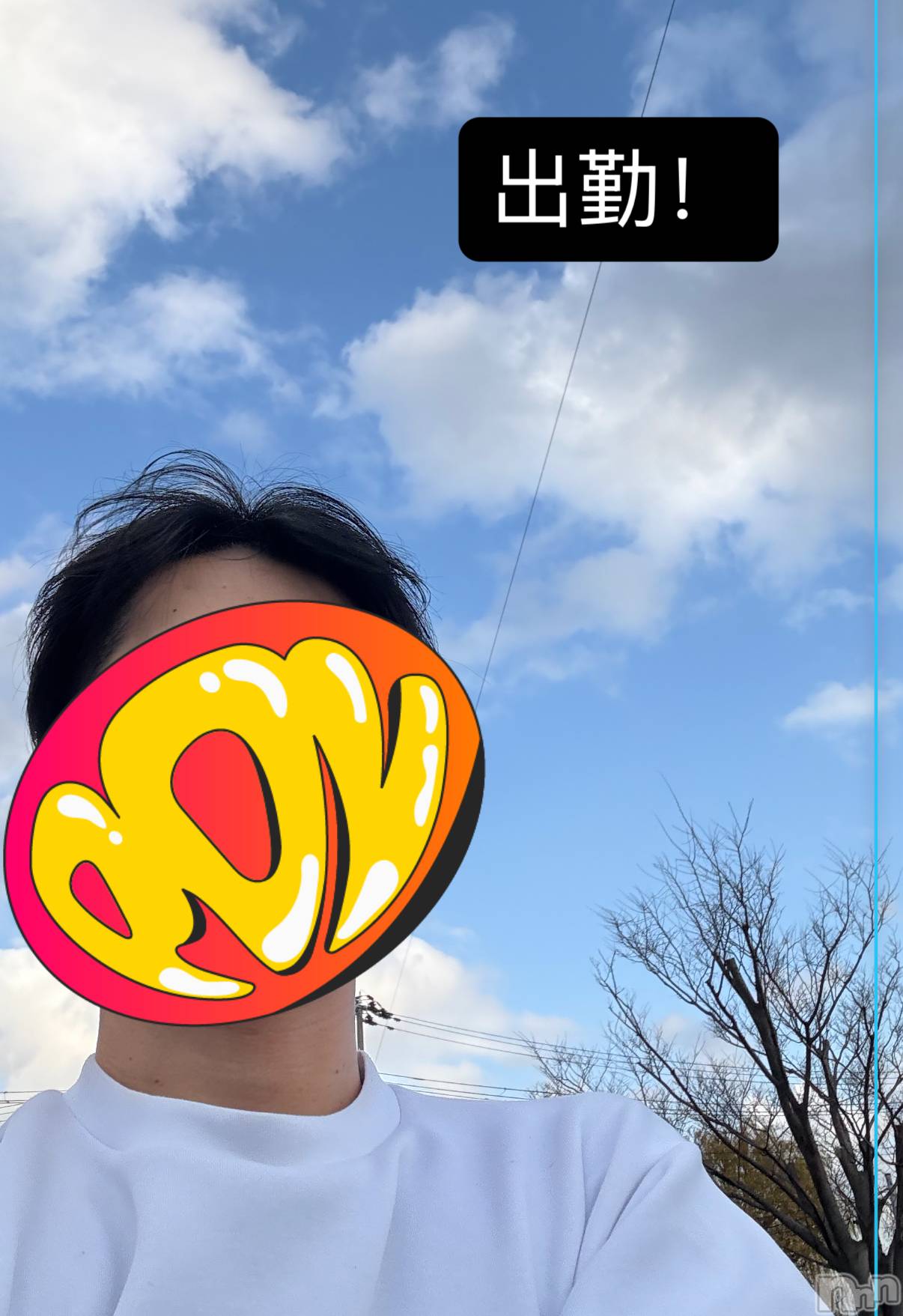 ��Į�ۥ��ȡ��ܡ������С�A151(�����������ݥ���) ��2025ǯ11��26���̥�֥�����45��