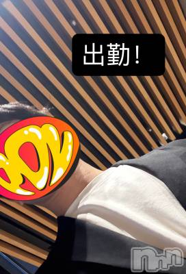 ��Į�ۥ��ȡ��ܡ������С�A151(�����������ݥ���) �����10��3���̥�֥�����34��