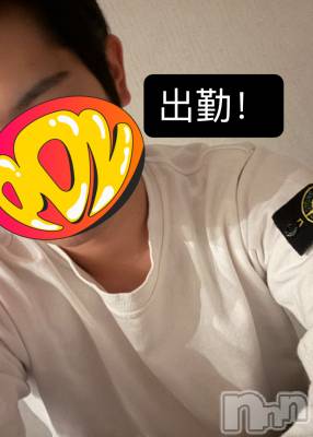 ��Į�ۥ��ȡ��ܡ������С�A151(�����������ݥ���) �����10��12���̥�֥�����36��