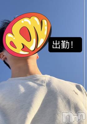 ��Į�ۥ��ȡ��ܡ������С�A151(�����������ݥ���) �����11��29���̥�֥�����46��