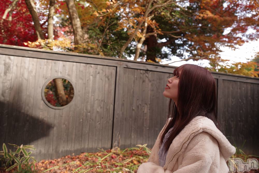 �����������������åȥС�BAR COCCOLE(�С����å���) �ʤߤ�12��21���̥�֥����ֲڤν�����