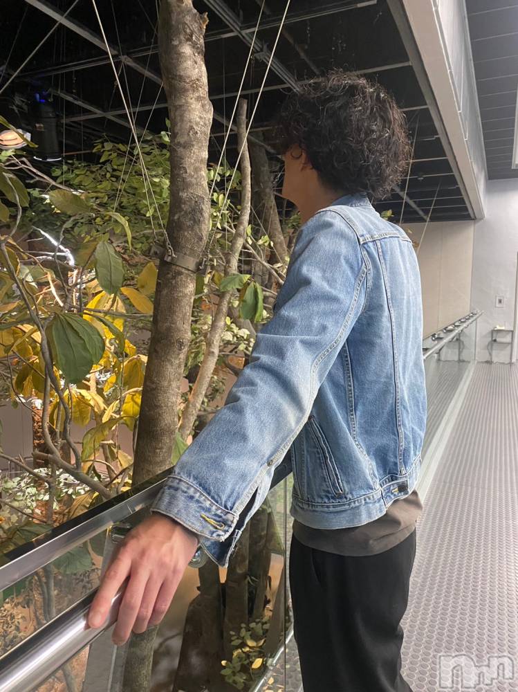 ��Į�ۥ��ȡ��ܡ������С�A151(�����������ݥ���) ���� ���Ƥ�9��6���̥�֥�����������������Ǥ�������������ꤤ�������ޤ�����