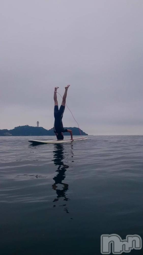 ��Į�ۥ��ȡ��ܡ������С�A151(�����������ݥ���) ���� ���Ƥ�9��17���̥�֥����ּ�ž��Ȭ������