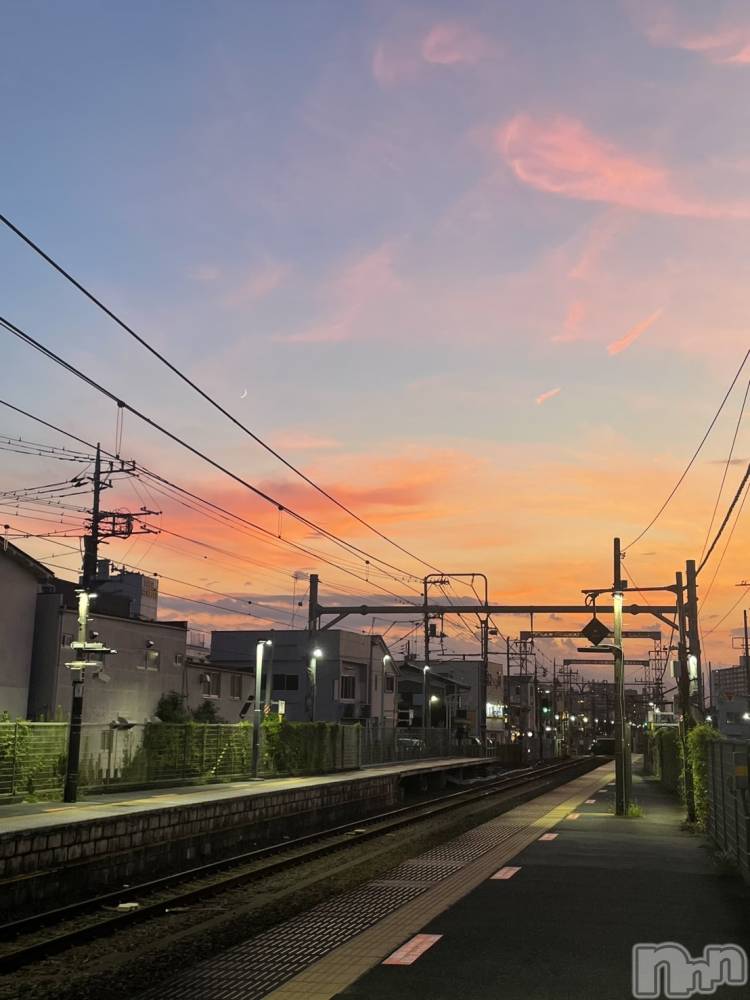 ��Į�ۥ��ȡ��ܡ������С�A151(�����������ݥ���) ���� ���Ƥ�9��19���̥�֥����֤�������ݡ�