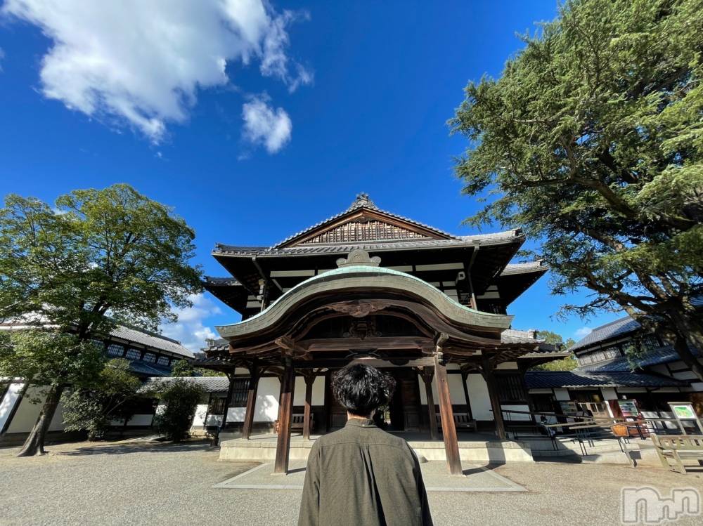 ��Į�ۥ��ȡ��ܡ������С�A151(�����������ݥ���) ���� ���Ƥ�10��11���̥�֥����ָŤ��ɤ���Ρ�