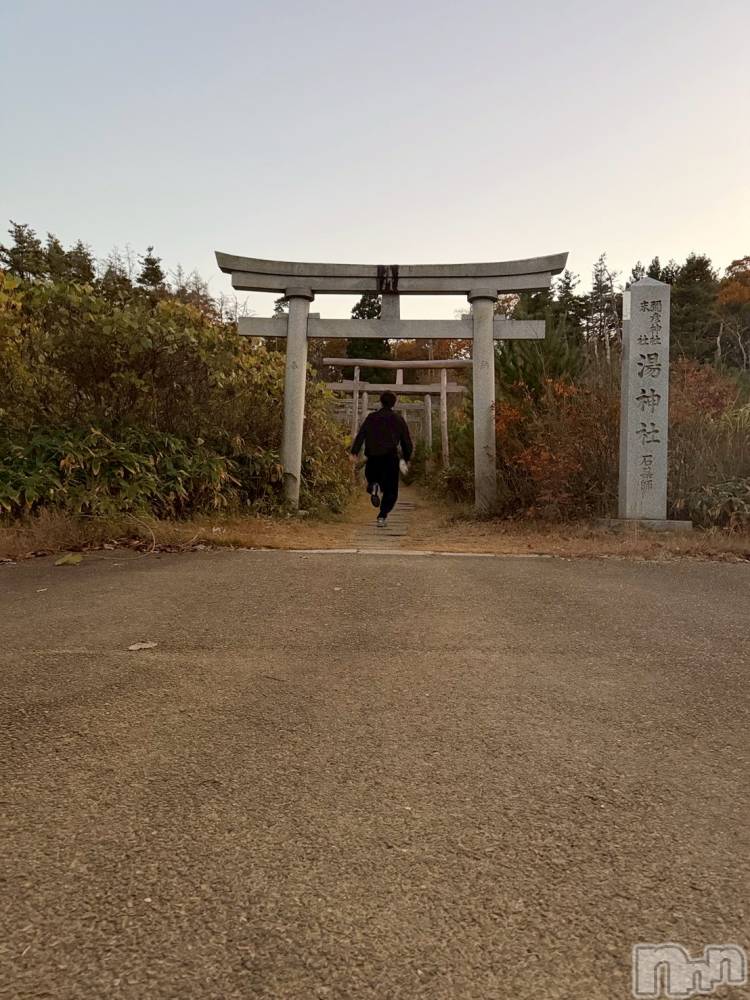 ��Į�ۥ��ȡ��ܡ������С�A151(�����������ݥ���) ���� ���Ƥ�11��19���̥�֥������ɤ������ä����褫��