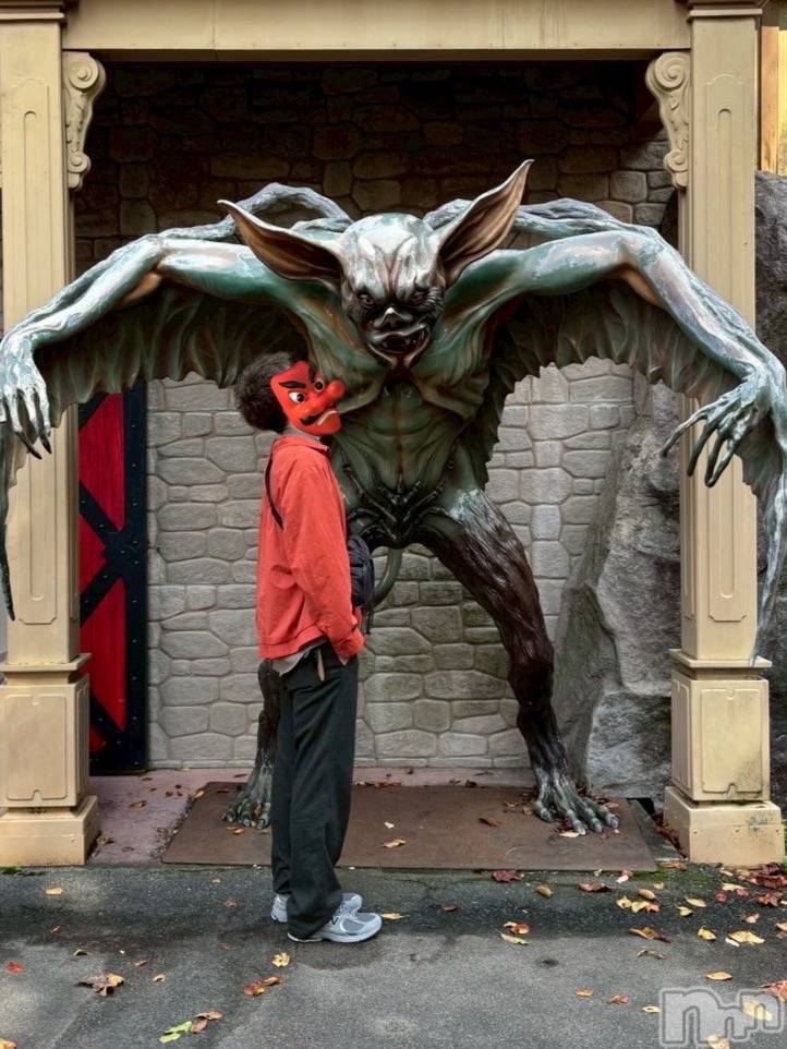 ��Į�ۥ��ȡ��ܡ������С�A151(�����������ݥ���) ���� ���Ƥ�11��27���̥�֥����ָ��夲�Ƥ�����