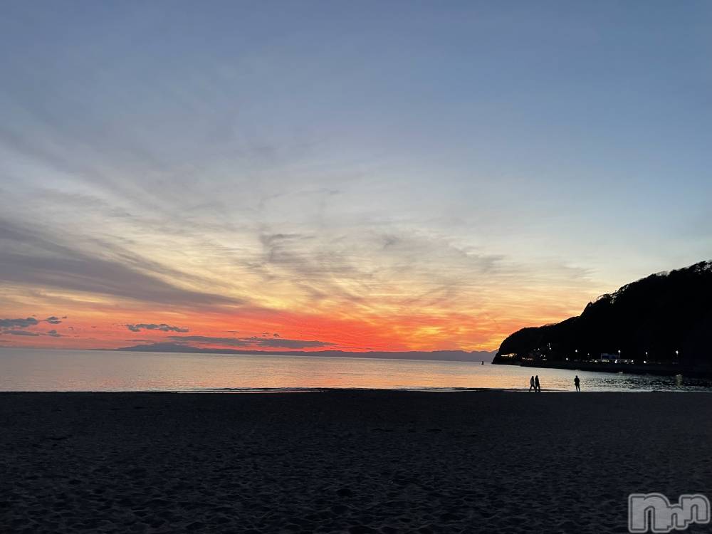 ��Į�ۥ��ȡ��ܡ������С�A151(�����������ݥ���) ���� ���Ƥ�11��28���̥�֥����ָ���ʤ��ʿ���