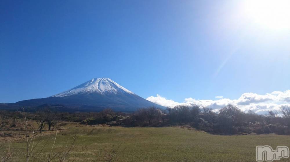 ��Į�ۥ��ȡ��ܡ������С�A151(�����������ݥ���) ���� ���Ƥ�12��6���̥�֥����֤�����������