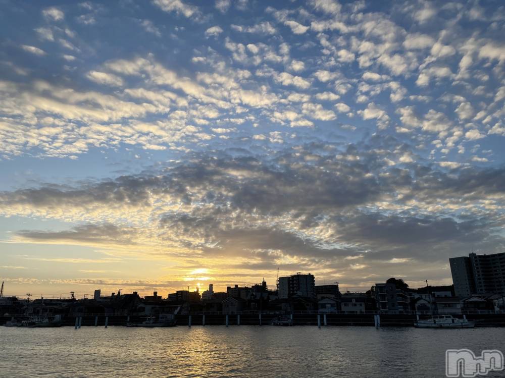 ��Į�ۥ��ȡ��ܡ������С�A151(�����������ݥ���) ���� ���Ƥ�1��22���̥�֥����־忶���