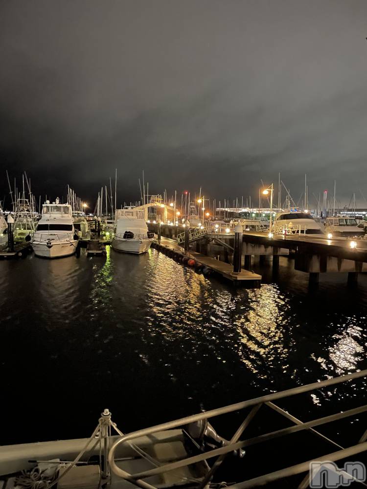 ��Į�ۥ��ȡ��ܡ������С�A151(�����������ݥ���) ���� ���Ƥ�2��14���̥�֥������ɤ��ɤ�ȡ�