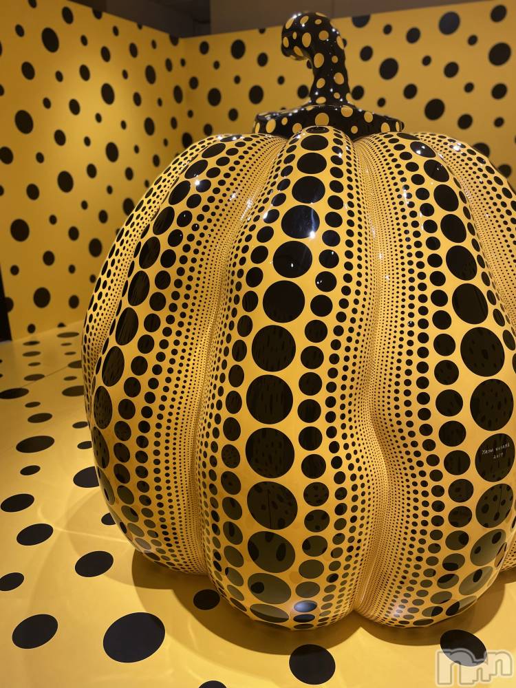 ��Į�ۥ��ȡ��ܡ������С�A151(�����������ݥ���) ���� ���Ƥ�2��16���̥�֥����ֽ����ζ��ݾɡ�