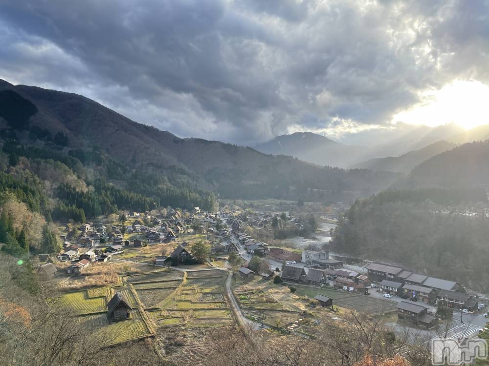 ��Į�ۥ��ȡ��ܡ������С�A151(�����������ݥ���) ���� ���Ƥ�3��23���̥�֥����ָŤ��ɤ���Ρ�