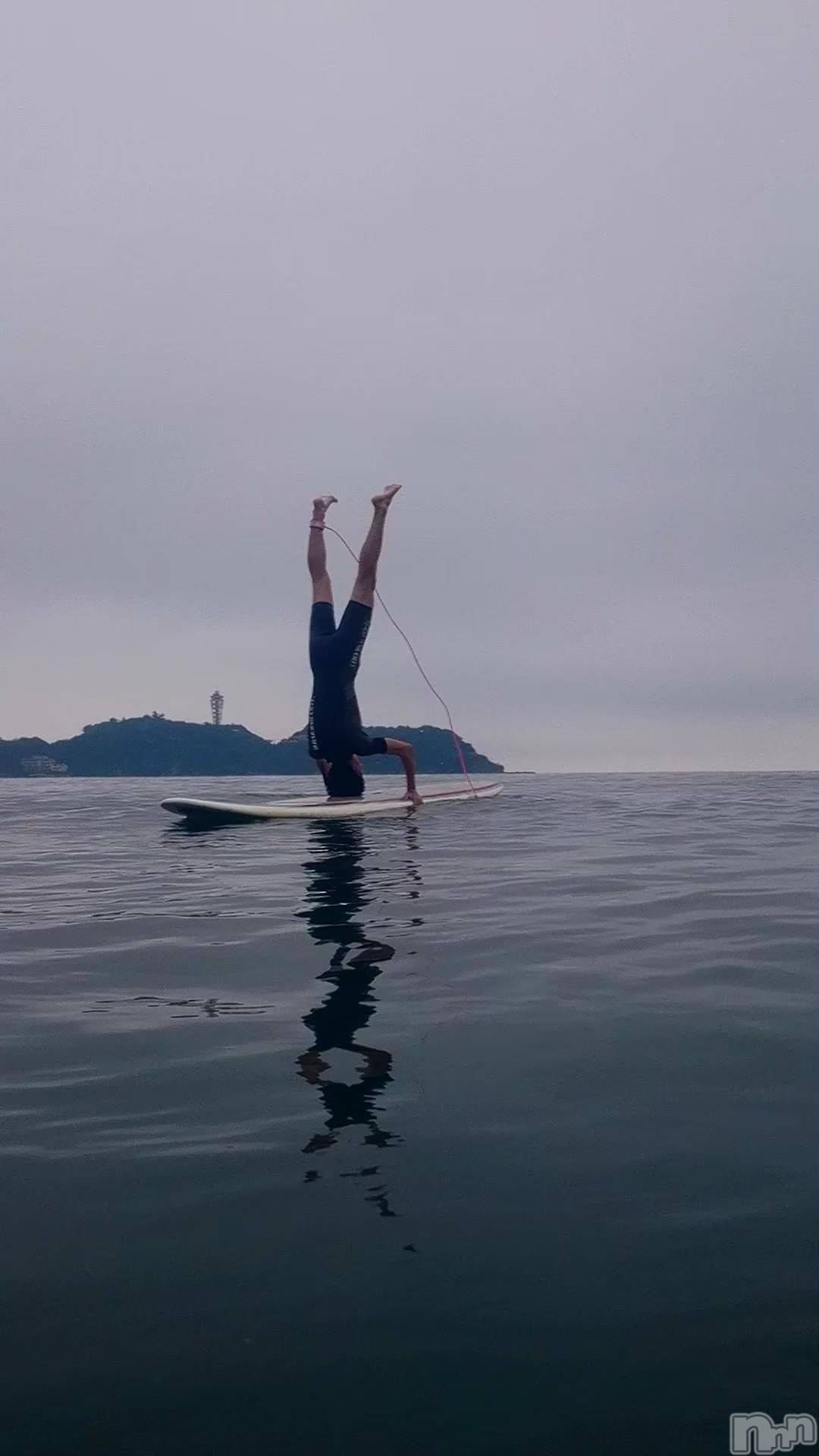 ��Į�ۥ��ȡ��ܡ������С�A151(�����������ݥ���) ��2025ǯ9��17���̥�֥����ּ�ž��Ȭ������