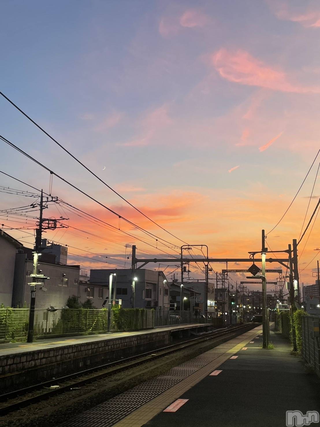 ��Į�ۥ��ȡ��ܡ������С�A151(�����������ݥ���) ��2025ǯ9��19���̥�֥����֤�������ݡ�