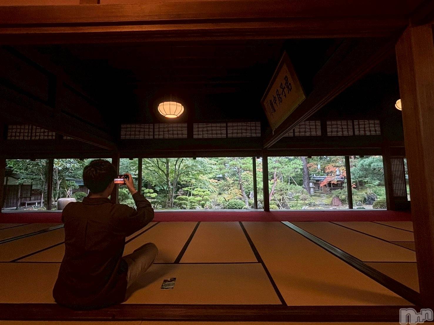 ��Į�ۥ��ȡ��ܡ������С�A151(�����������ݥ���) ��2025ǯ11��5���̥�֥���������λ�����