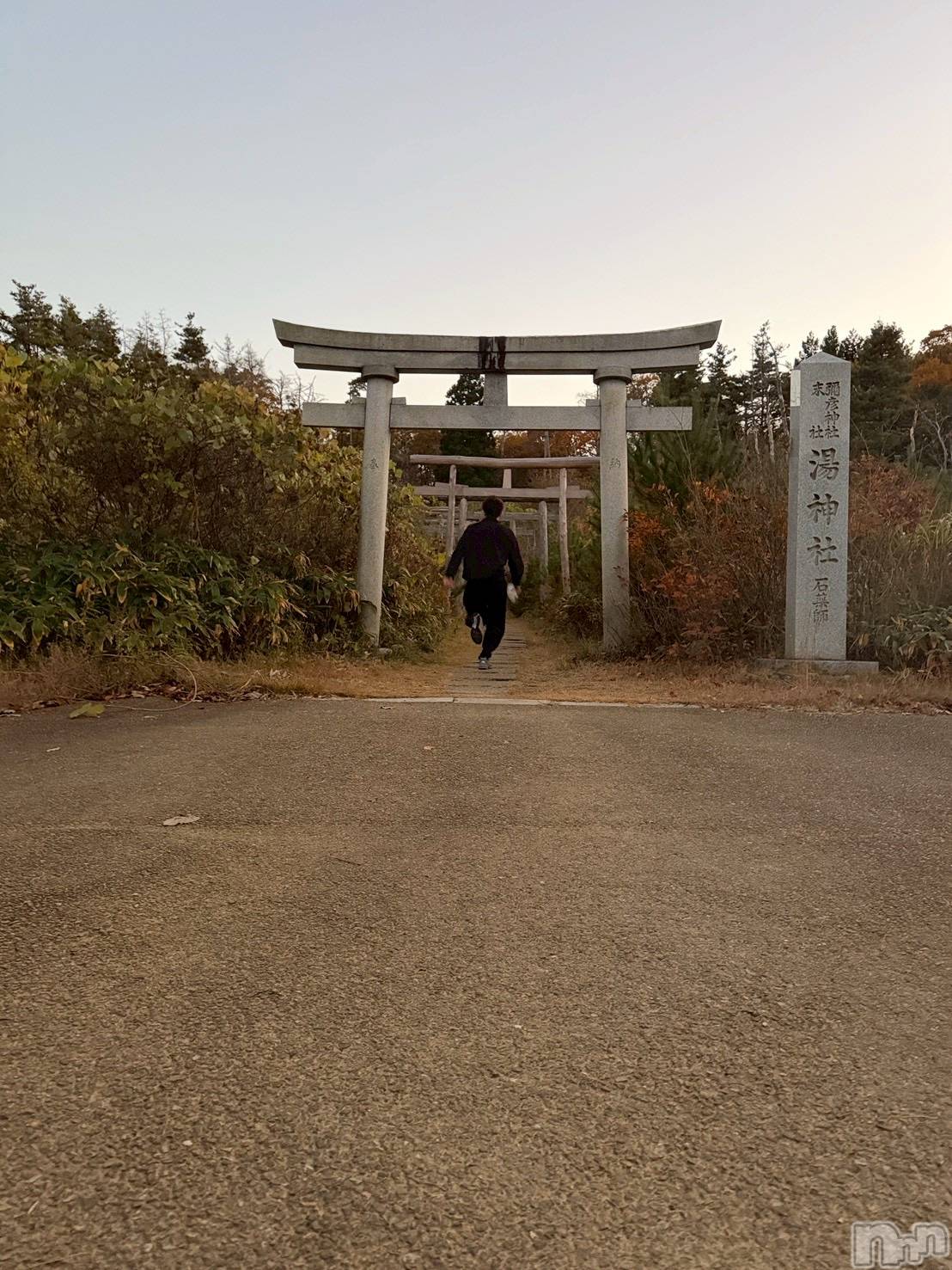 ��Į�ۥ��ȡ��ܡ������С�A151(�����������ݥ���) ��2025ǯ11��19���̥�֥������ɤ������ä����褫��