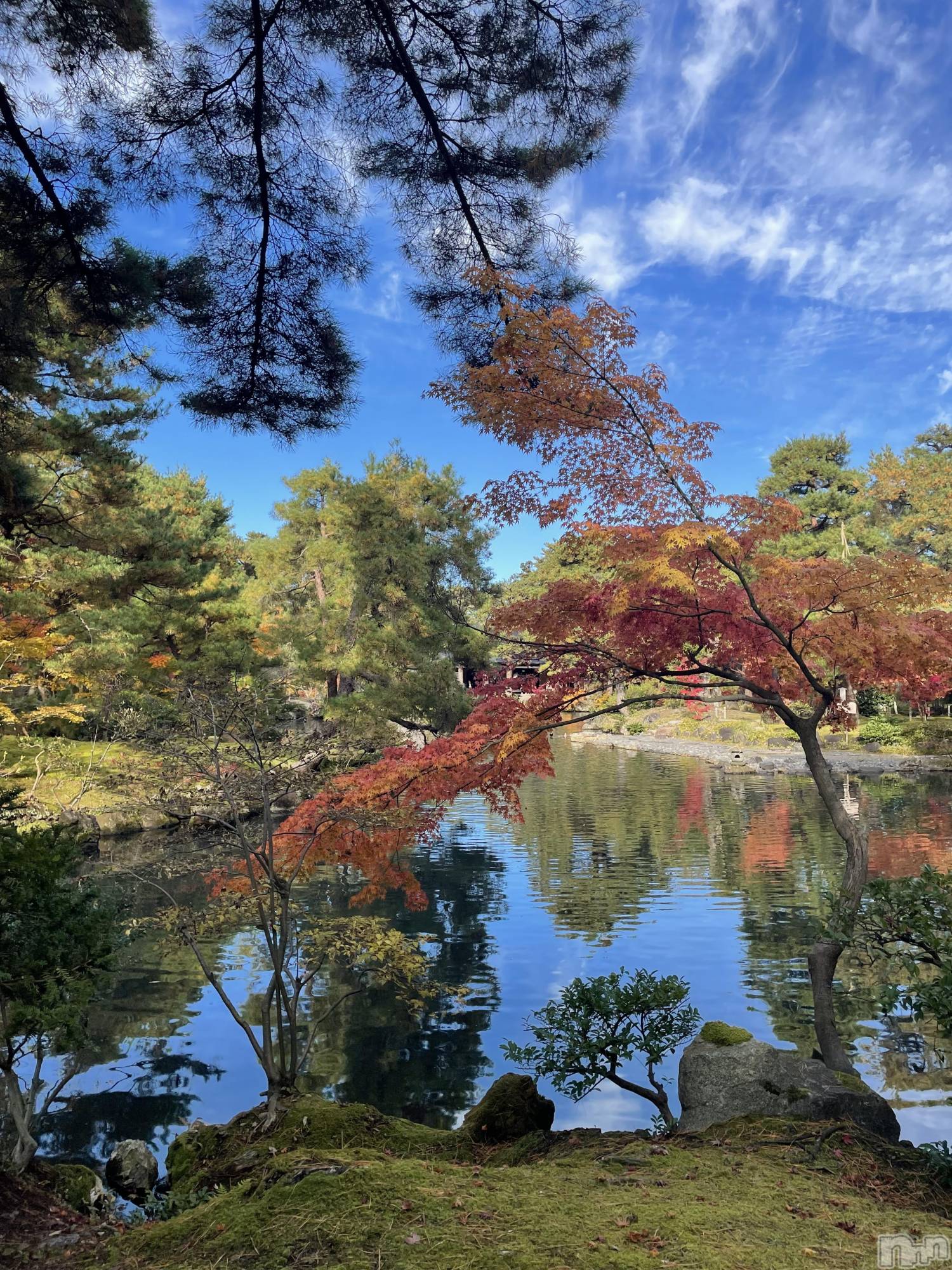 ��Į�ۥ��ȡ��ܡ������С�A151(�����������ݥ���) ��2025ǯ11��22���̥�֥����֤�Ȥ������