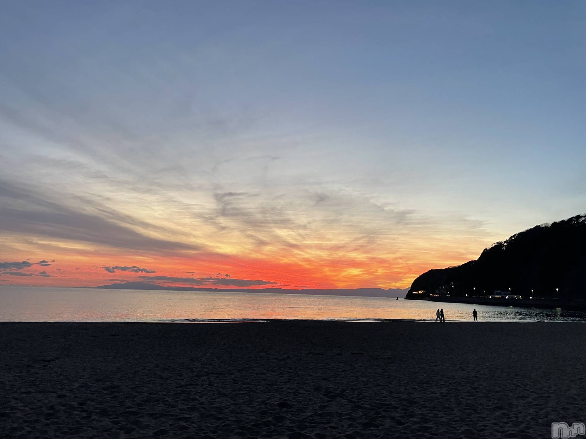 ��Į�ۥ��ȡ��ܡ������С�A151(�����������ݥ���) ��2025ǯ11��28���̥�֥����ָ���ʤ��ʿ���