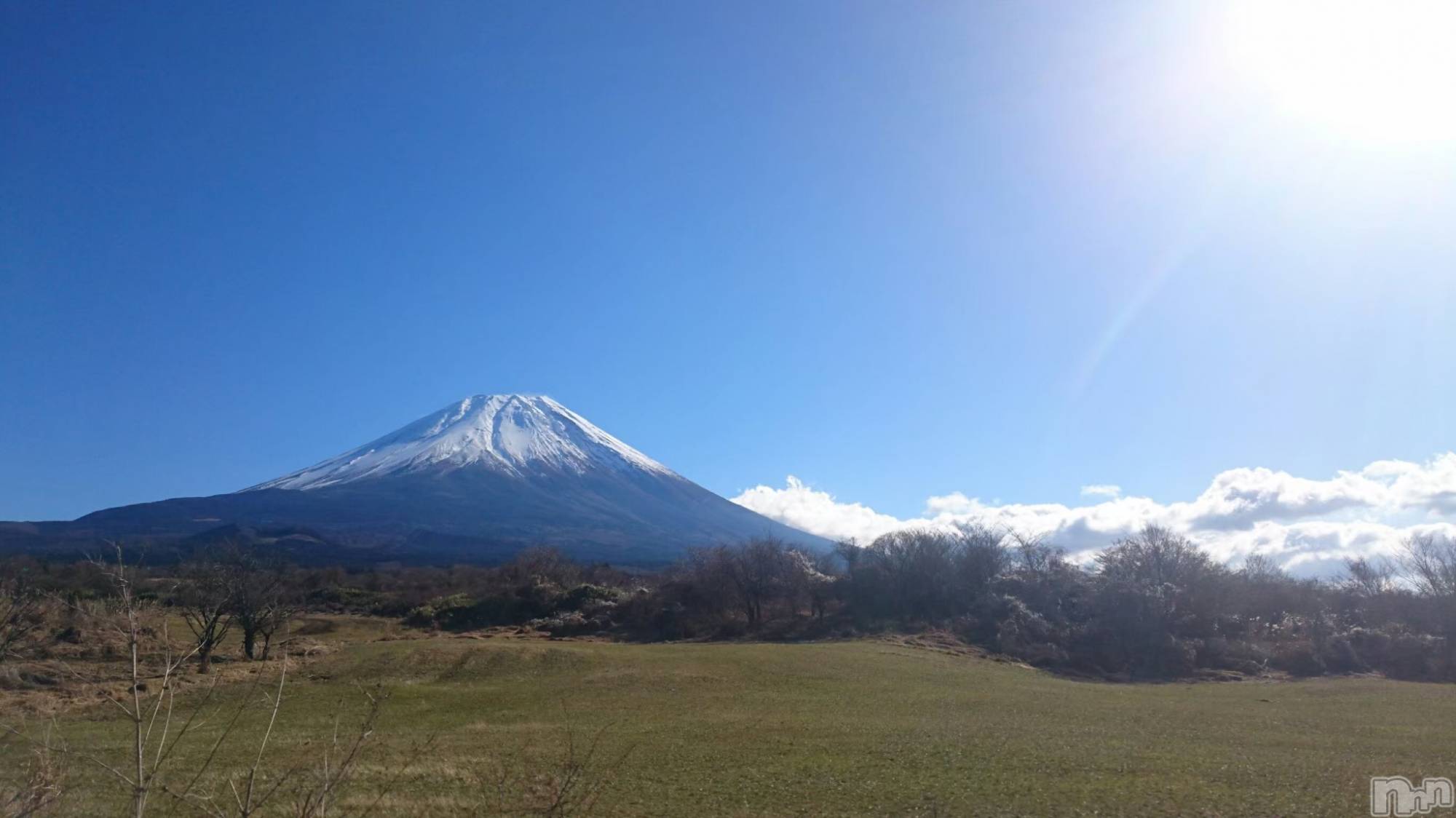 ��Į�ۥ��ȡ��ܡ������С�A151(�����������ݥ���) ��2025ǯ12��6���̥�֥����֤�����������