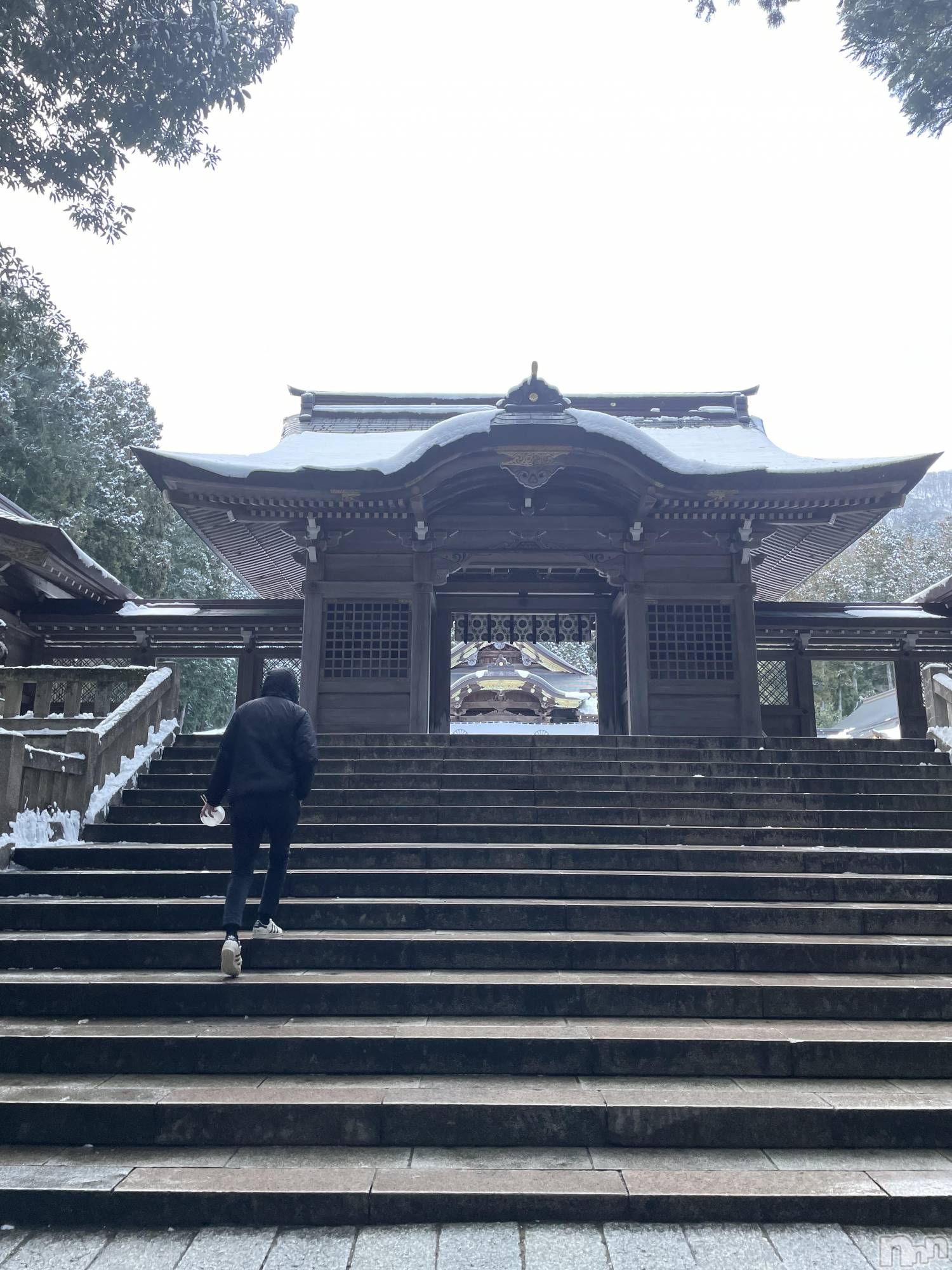 ��Į�ۥ��ȡ��ܡ������С�A151(�����������ݥ���) ��2026ǯ1��7���̥�֥����֤���������