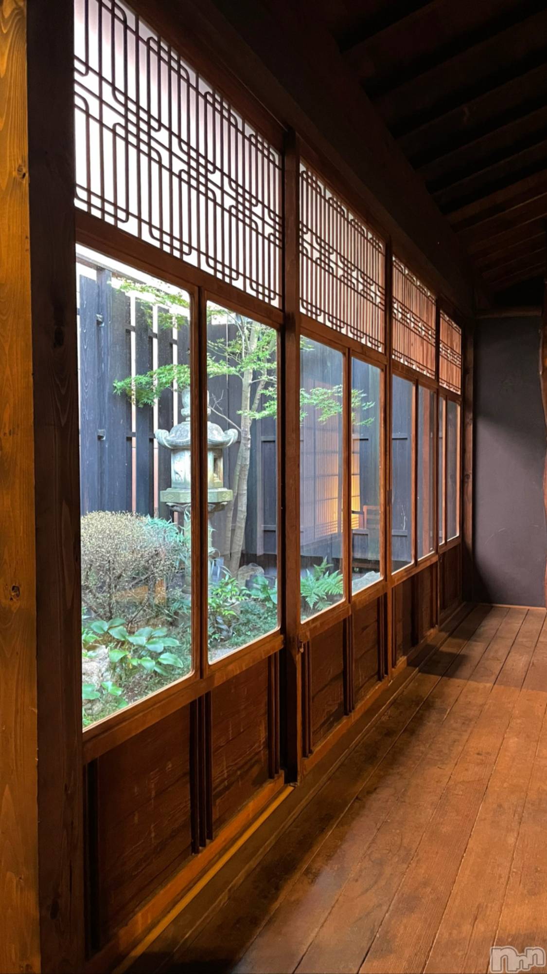 ��Į�ۥ��ȡ��ܡ������С�A151(�����������ݥ���) ��2026ǯ1��23���̥�֥�����ʷ�ϵ����δ����̡�