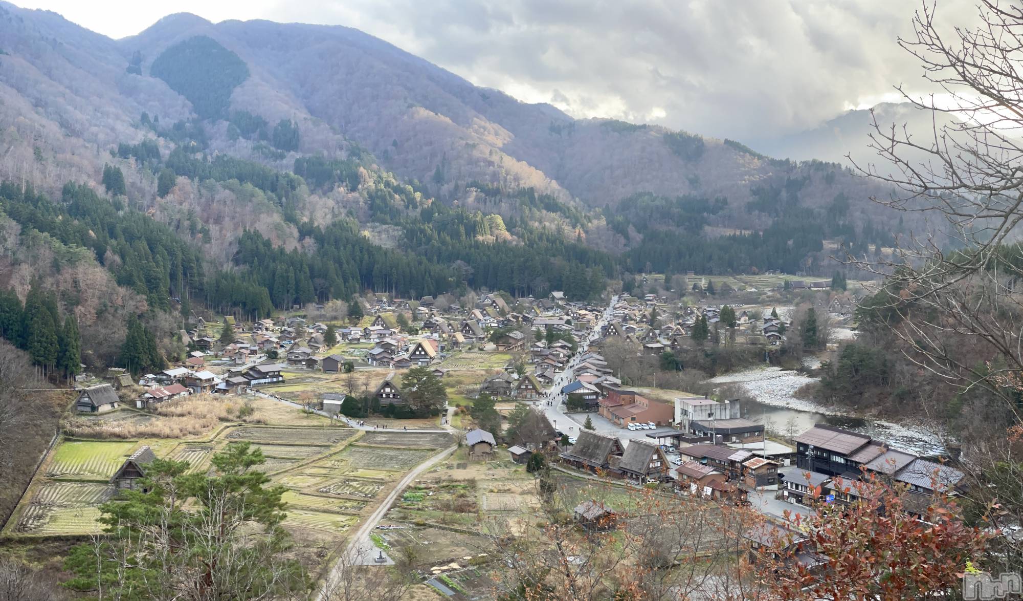 ��Į�ۥ��ȡ��ܡ������С�A151(�����������ݥ���) ��2026ǯ1��25���̥�֥����ֹߤä��͡���