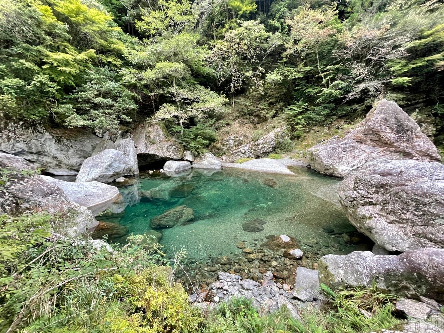 ��Į�ۥ��ȡ��ܡ������С�A151(�����������ݥ���) ��2026ǯ2��4���̥�֥����֤ߤɤ��