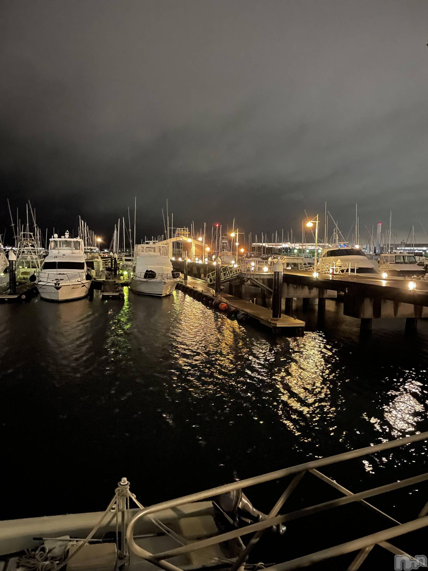 ��Į�ۥ��ȡ��ܡ������С�A151(�����������ݥ���) ��2026ǯ2��14���̥�֥������ɤ��ɤ�ȡ�