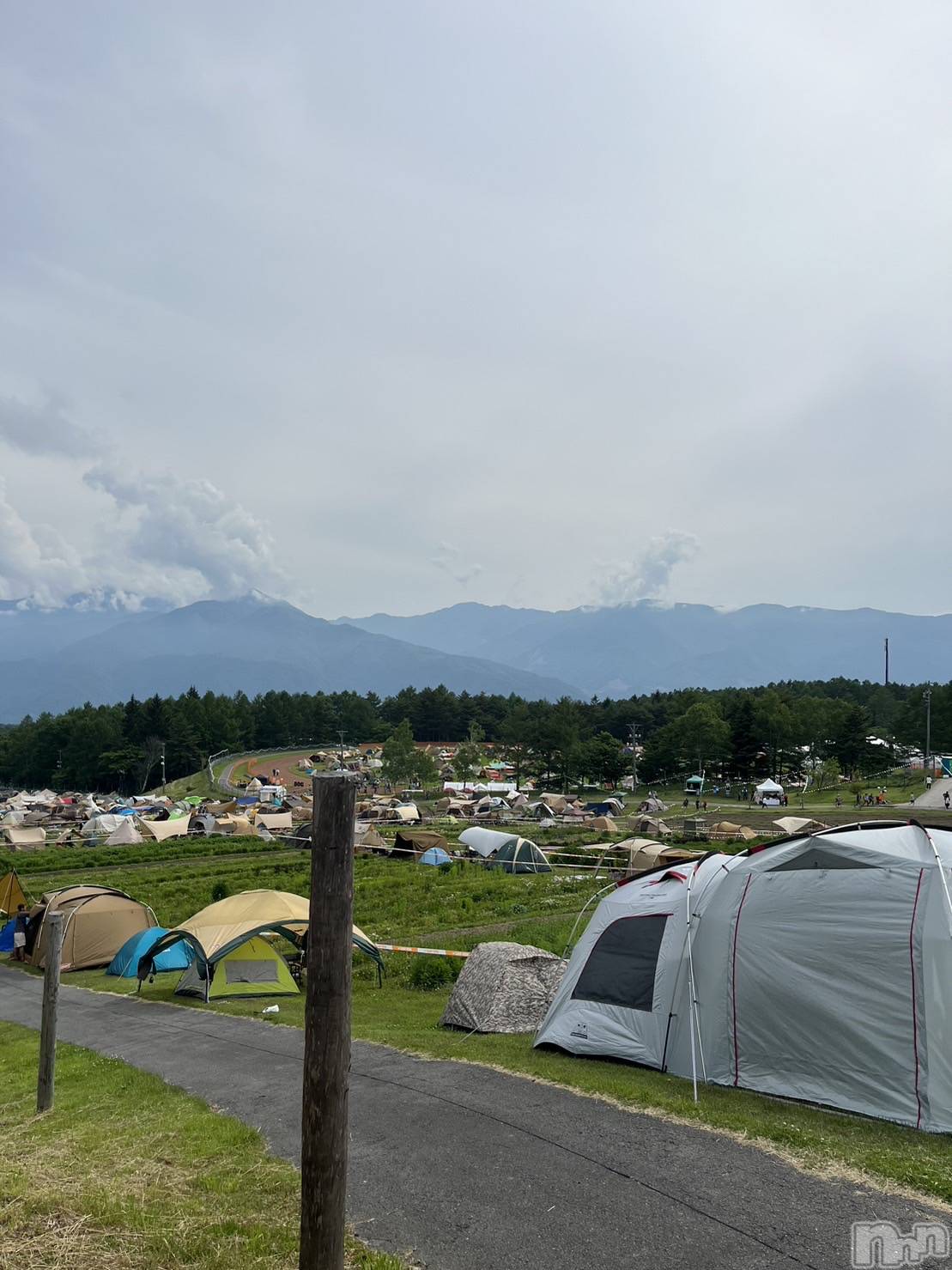 ��Į�ۥ��ȡ��ܡ������С�A151(�����������ݥ���) ��2026ǯ3��4���̥�֥����ִ������Ȥ�������