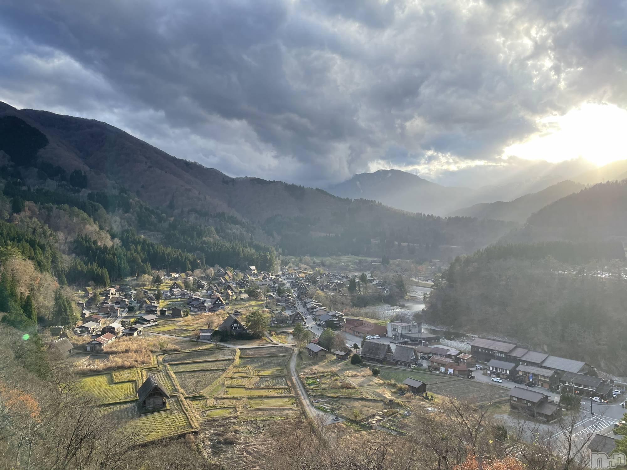 ��Į�ۥ��ȡ��ܡ������С�A151(�����������ݥ���) ��2026ǯ3��23���̥�֥����ָŤ��ɤ���Ρ�