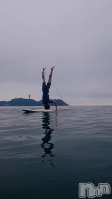 ��Į�ۥ��ȡ��ܡ������С�A151(�����������ݥ���) ���� ����(34)��9��17���̥�֥����ּ�ž��Ȭ������