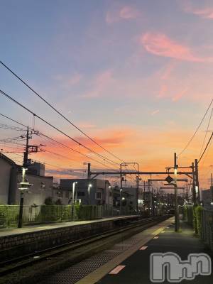 ��Į�ۥ��ȡ��ܡ������С�A151(�����������ݥ���) ���� ����(34)��9��19���̥�֥����֤�������ݡ�