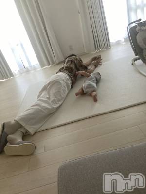 ��Į�ۥ��ȡ��ܡ������С�A151(�����������ݥ���) ���� ����(34)��9��26���̥�֥����֤�����������ϻפ��Ф�������