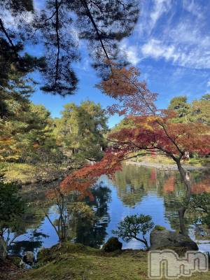 ��Į�ۥ��ȡ��ܡ������С�A151(�����������ݥ���) ���� ����(34)��11��22���̥�֥����֤�Ȥ������