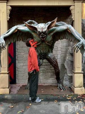 ��Į�ۥ��ȡ��ܡ������С�A151(�����������ݥ���) ���� ����(34)��11��27���̥�֥����ָ��夲�Ƥ�����