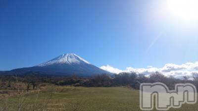 ��Į�ۥ��ȡ��ܡ������С�A151(�����������ݥ���) ���� ����(34)��12��6���̥�֥����֤�����������