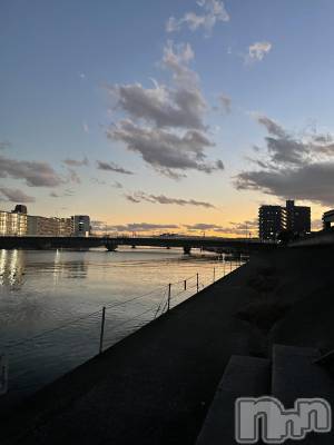 ��Į�ۥ��ȡ��ܡ������С�A151(�����������ݥ���) ���� ����(34)��1��15���̥�֥����֤�������