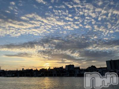 ��Į�ۥ��ȡ��ܡ������С�A151(�����������ݥ���) ���� ����(34)��1��22���̥�֥����־忶���