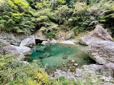 ��Į�ۥ��ȡ��ܡ������С�A151(�����������ݥ���) ���� ����(34)��2��4���̥�֥����֤ߤɤ��