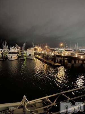 ��Į�ۥ��ȡ��ܡ������С�A151(�����������ݥ���) ���� ����(34)��2��14���̥�֥������ɤ��ɤ�ȡ�