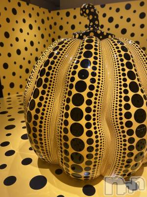 ��Į�ۥ��ȡ��ܡ������С�A151(�����������ݥ���) ���� ����(34)��2��16���̥�֥����ֽ����ζ��ݾɡ�