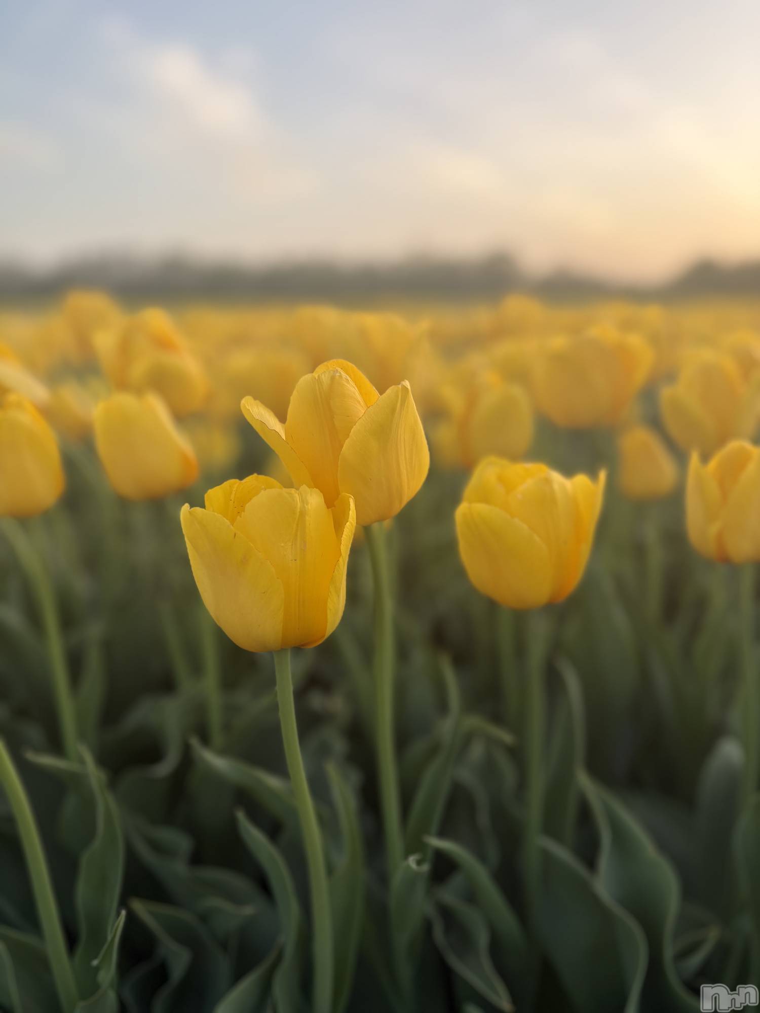 ��Į�ۥ��ȡ��ܡ������С�BAR LIBER(�С���٥�) ��2026ǯ4��21���̥�֥����ֲ�ʴ����äƤ�������