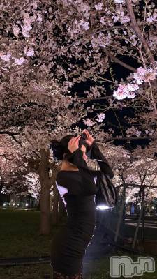 ��Į�ۥ��ȡ��ܡ������С�BAR LIBER(�С���٥�) ������(20)��4��18���̥�֥����ֺ�����