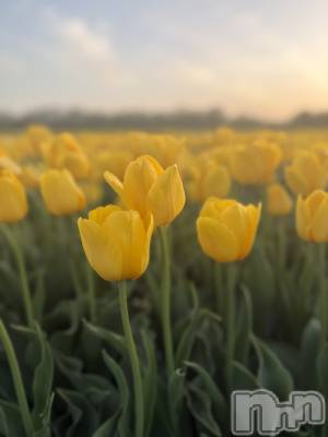 ��Į�ۥ��ȡ��ܡ������С�BAR LIBER(�С���٥�) ������(20)��4��21���̥�֥����ֲ�ʴ����äƤ�������