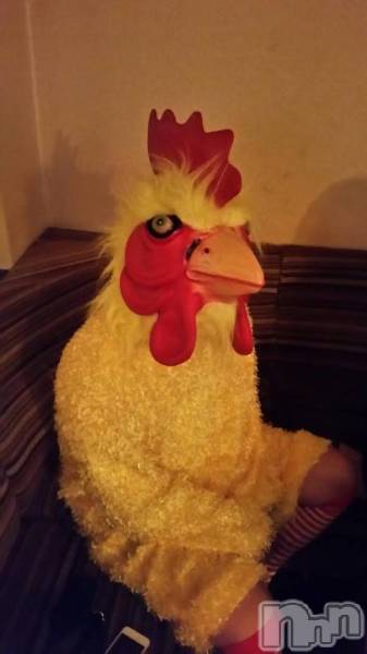 ��Į�ۥ��ȡ��ܡ������С�A151(�����������ݥ���) �� 2017ǯ1��30���̥�֥����֣����ĳ̾�ӡ�����birthday��