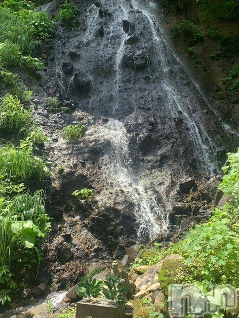 ��Į�ۥ��ȡ��ܡ������С�A151(�����������ݥ���) �褦��6��24���̥�֥�����6��27����